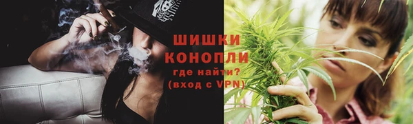 эйфоретик Богданович