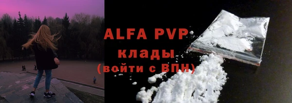 эйфоретик Богданович