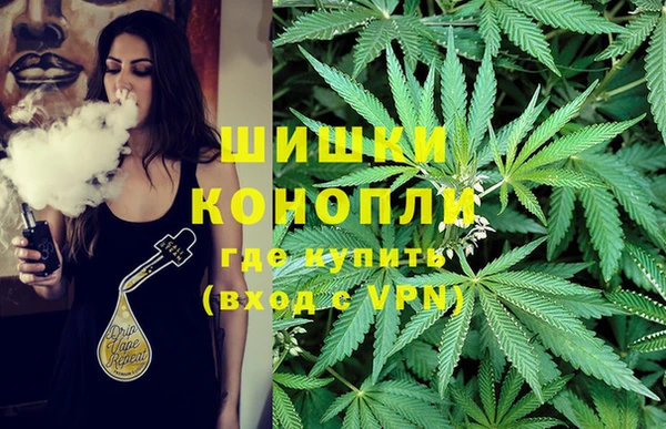 эйфоретик Богданович