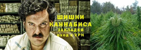 эйфоретик Богданович
