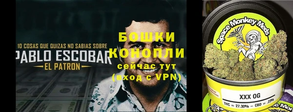сатива Белокуриха