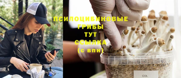 a pvp Белоозёрский