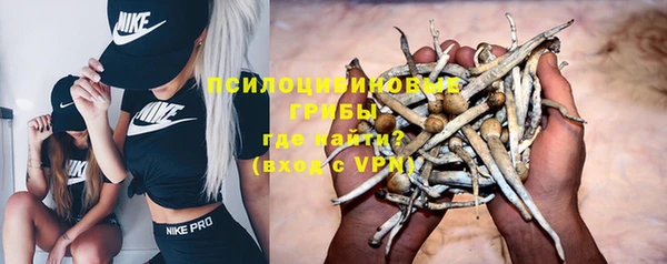 эйфоретик Богданович