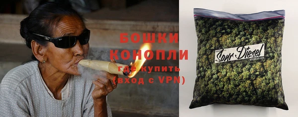 сатива Белокуриха