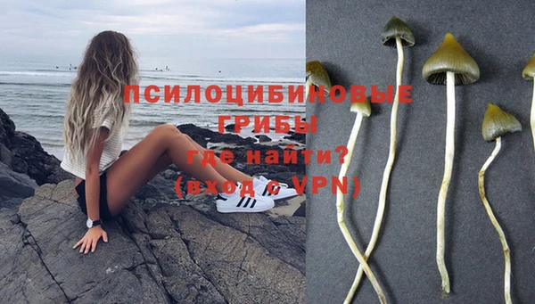 эйфоретик Богданович